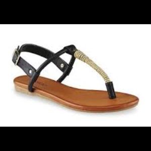 Bongo Women's Wasabi Black/Gold T-Strap Sandal